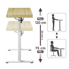 Kowo 120 cm Elektrischer Höhenverstellbarer Schreibtisch mit Schubladen und kabelloses Laden, Mobilo Sekey